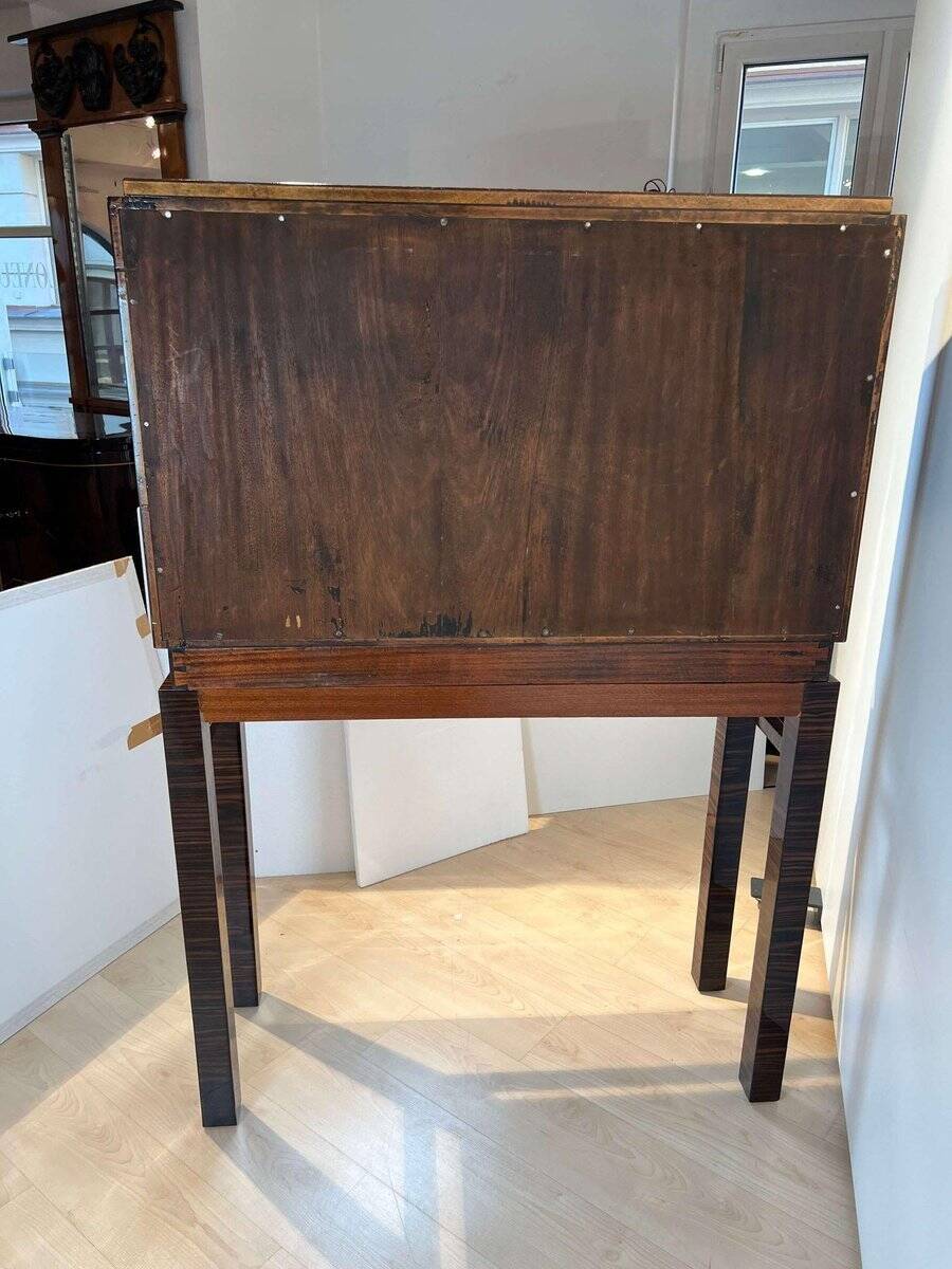 Tall Art Deco Cabinet in Macassar Veneer and Mahogany, France, 1930s