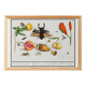 Small poster on "insects and flowers", after an old engraving by