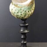 Cabinet of curiosities turbo marmoratus shell on base