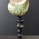 Cabinet of curiosities turbo marmoratus shell on base