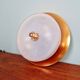 Art Deco ceiling light in copper and frosted glass, 1930