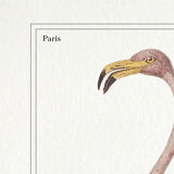 Chimera lithography animal engraving - the pink blazing