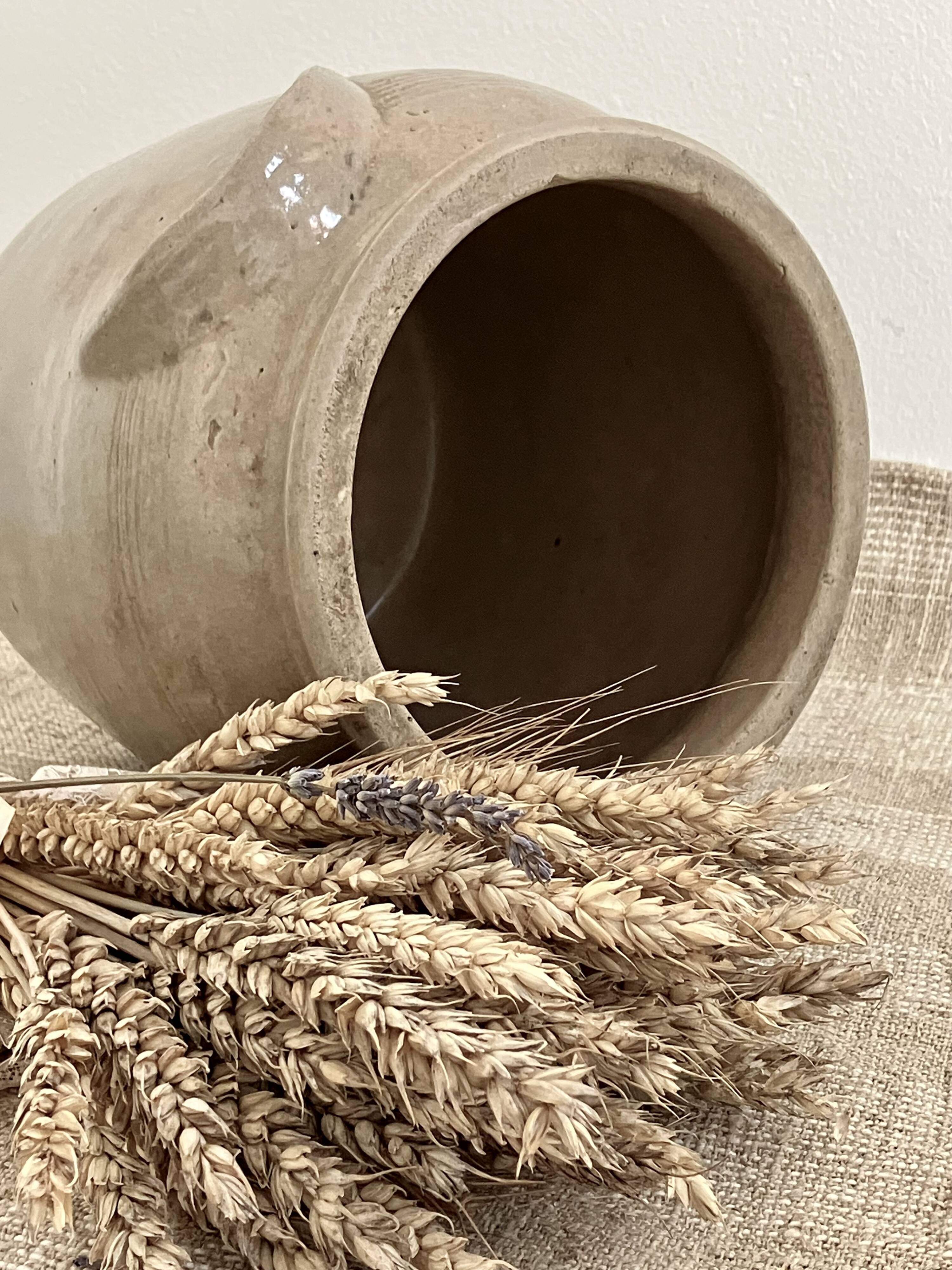 Glazed stoneware pot with ears