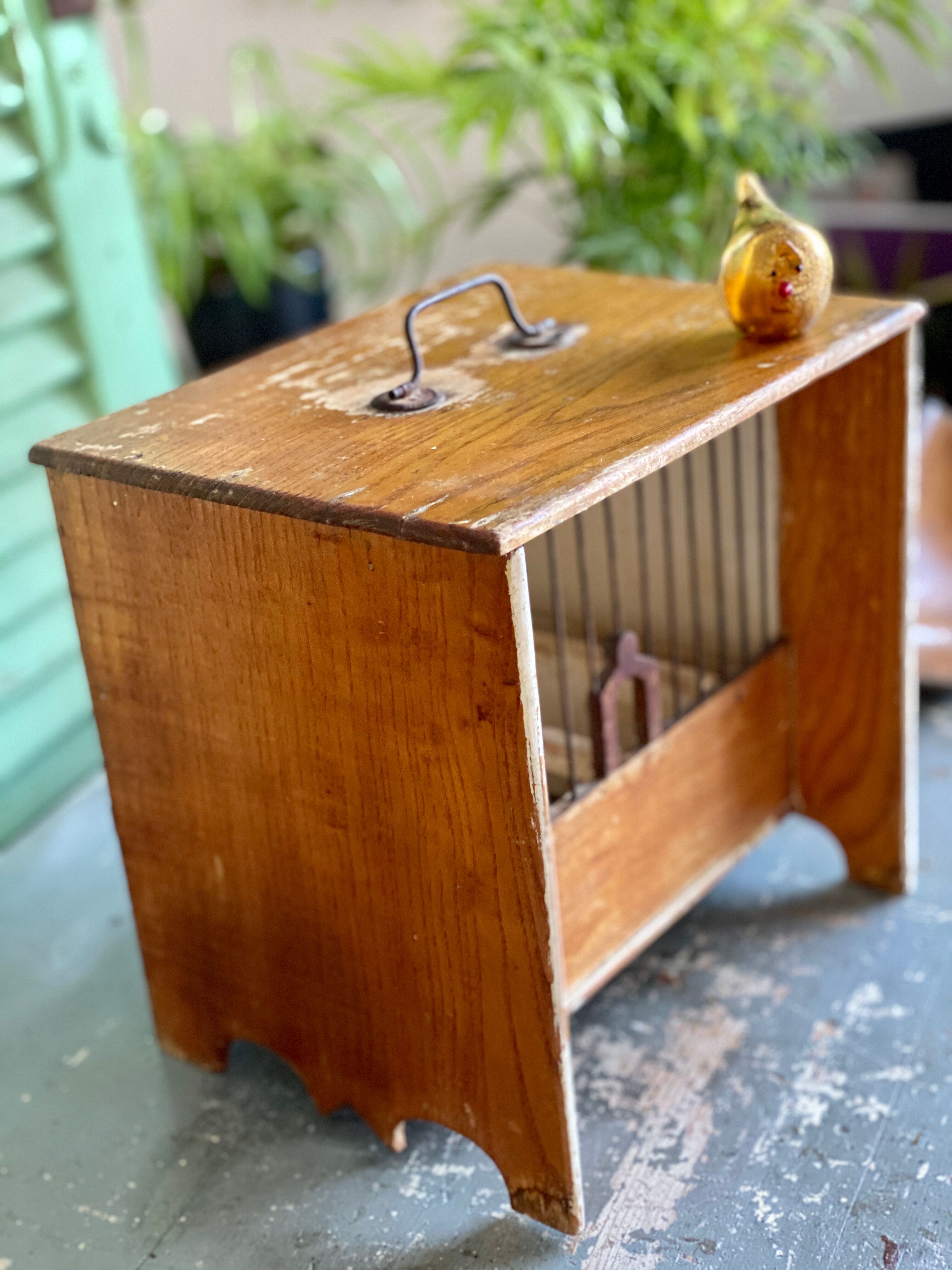 Wooden and steel bird cage