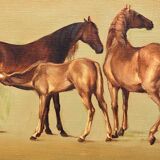 Painting "Mares with foals".
