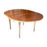 Extendable Scandinavian table