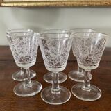 6 engraved antique glasses