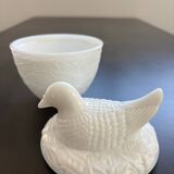 Opaline chicken box