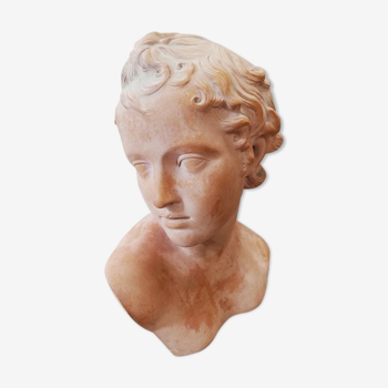 ANCIENT BUST IN THE ANTIQUE STATUE SCULPTURE TERRACOTTA