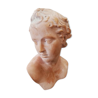 ANCIENT BUST IN THE ANTIQUE STATUE SCULPTURE TERRACOTTA