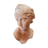 ANCIENT BUST IN THE ANTIQUE STATUE SCULPTURE TERRACOTTA