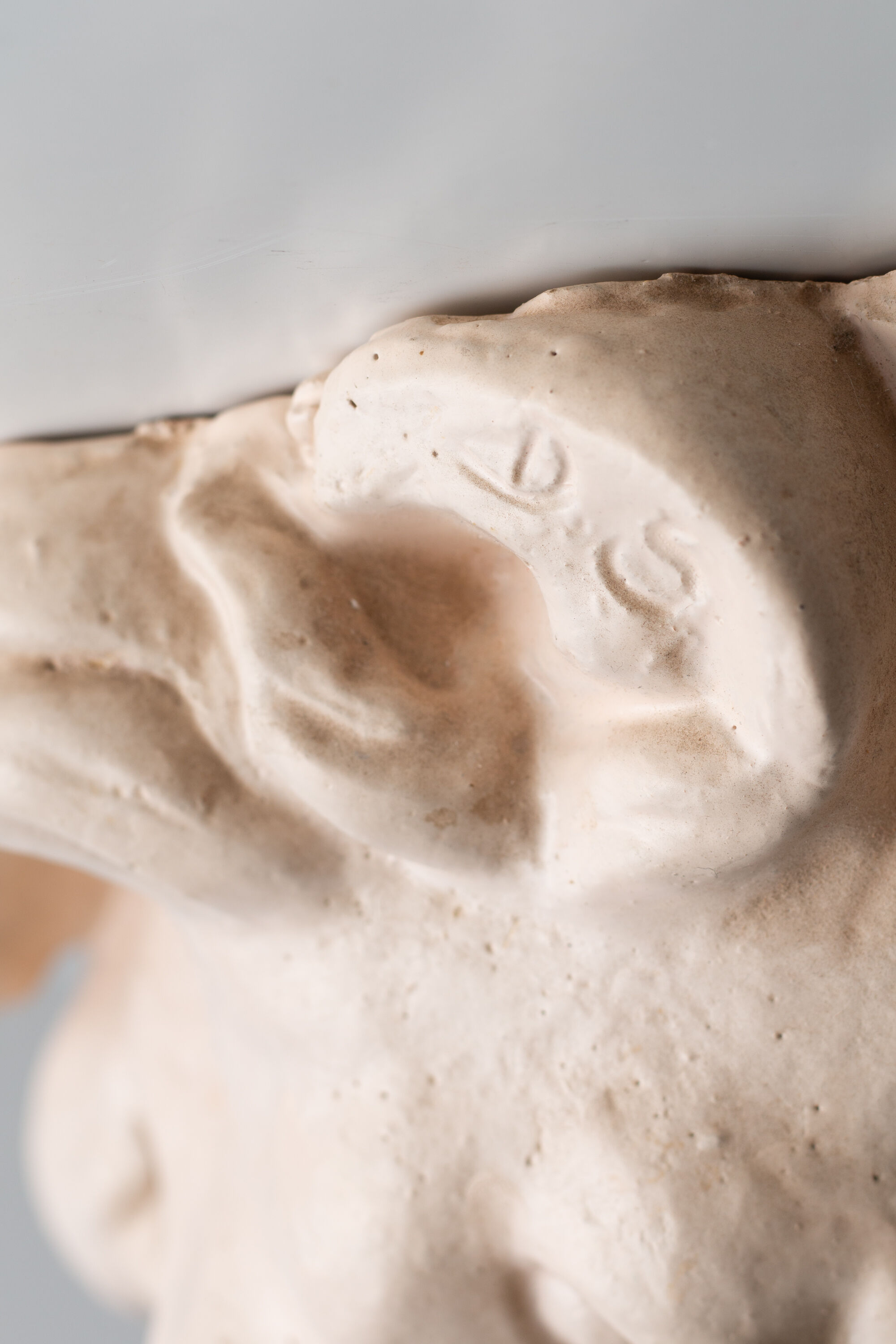 Lion's head in painted plaster