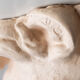 Lion's head in painted plaster