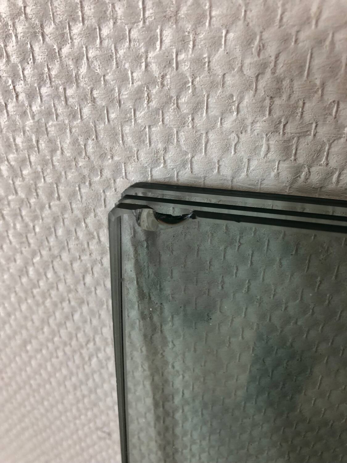 Shelf / display case