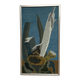 Original Swedish Oil on Canvas – "Aqave" by Marit Wahlström Schönbäck – Signed – Dated 1969 – Framed – 37 × 64 cm