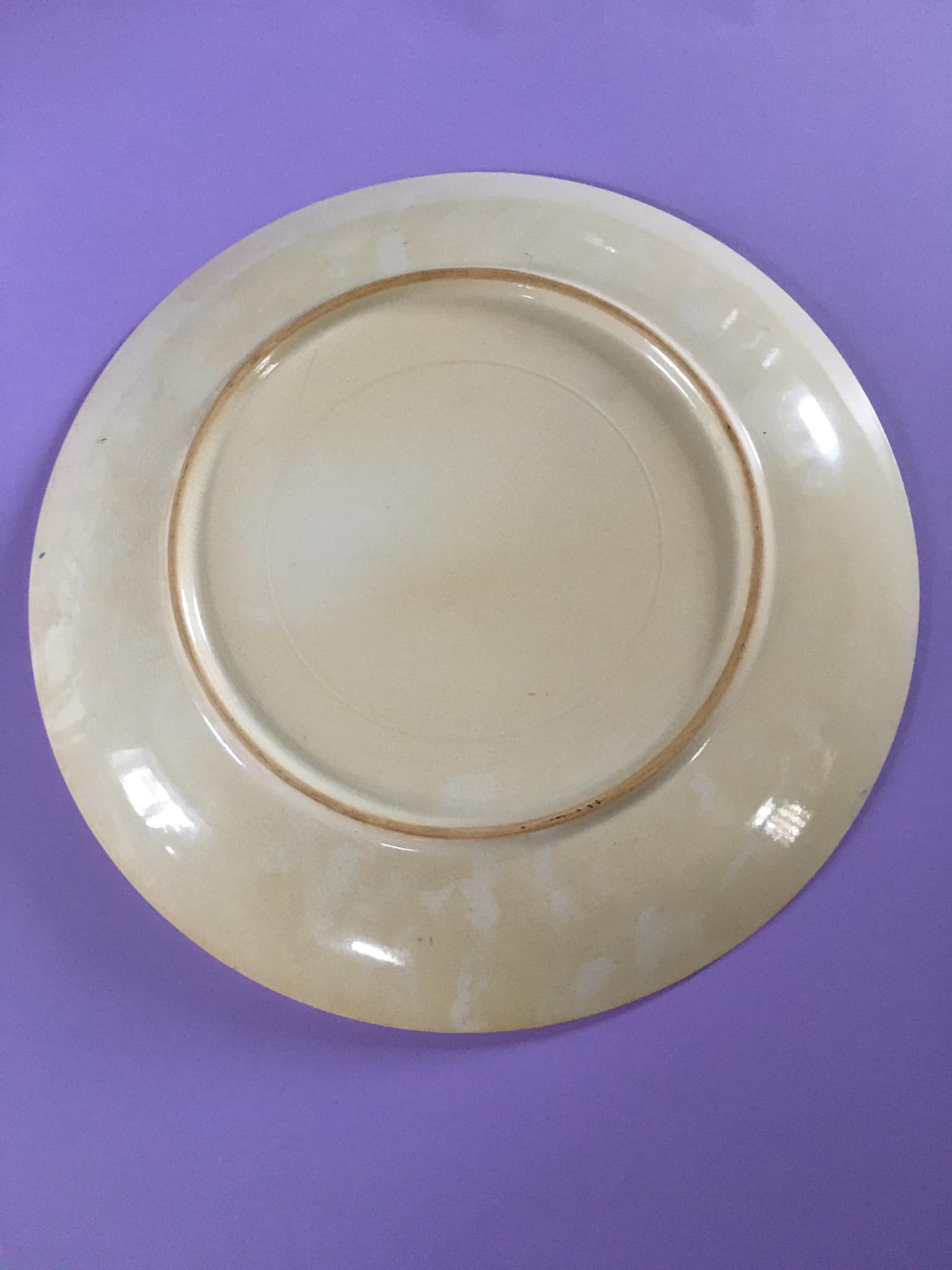 Serving dish in earthenware bird décor