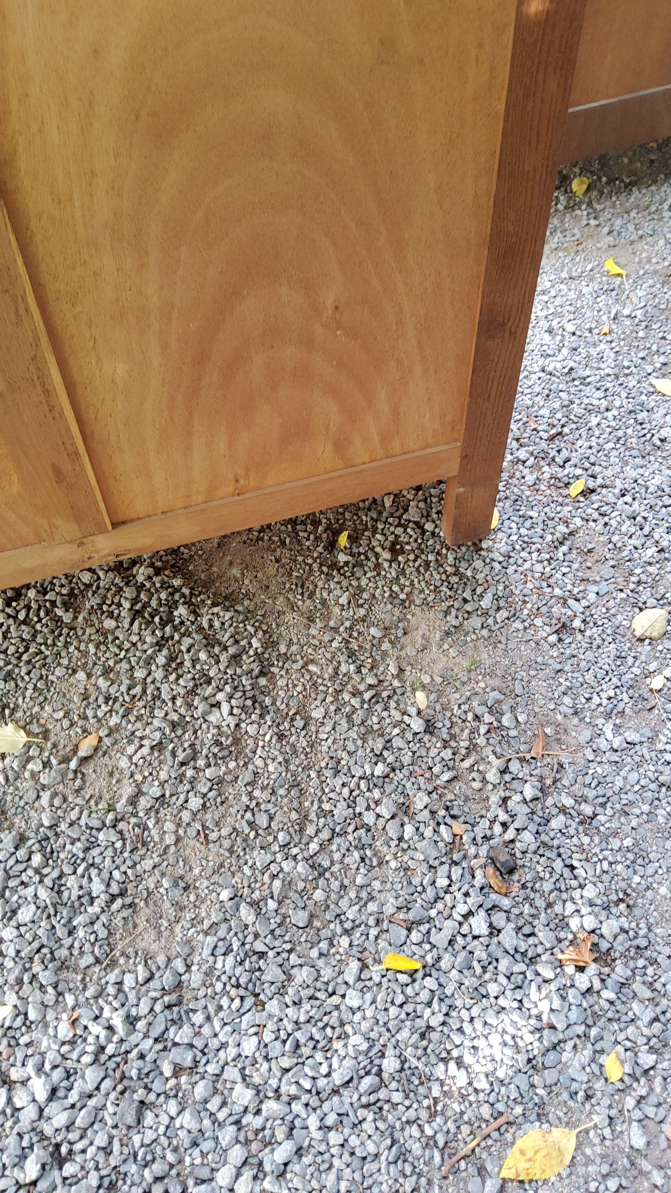 Chest of drawers of the 50s in blond oak compass feet