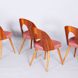 Four restored mid-century chairs, antonin suman, beech, walnut, czechia, 1950s