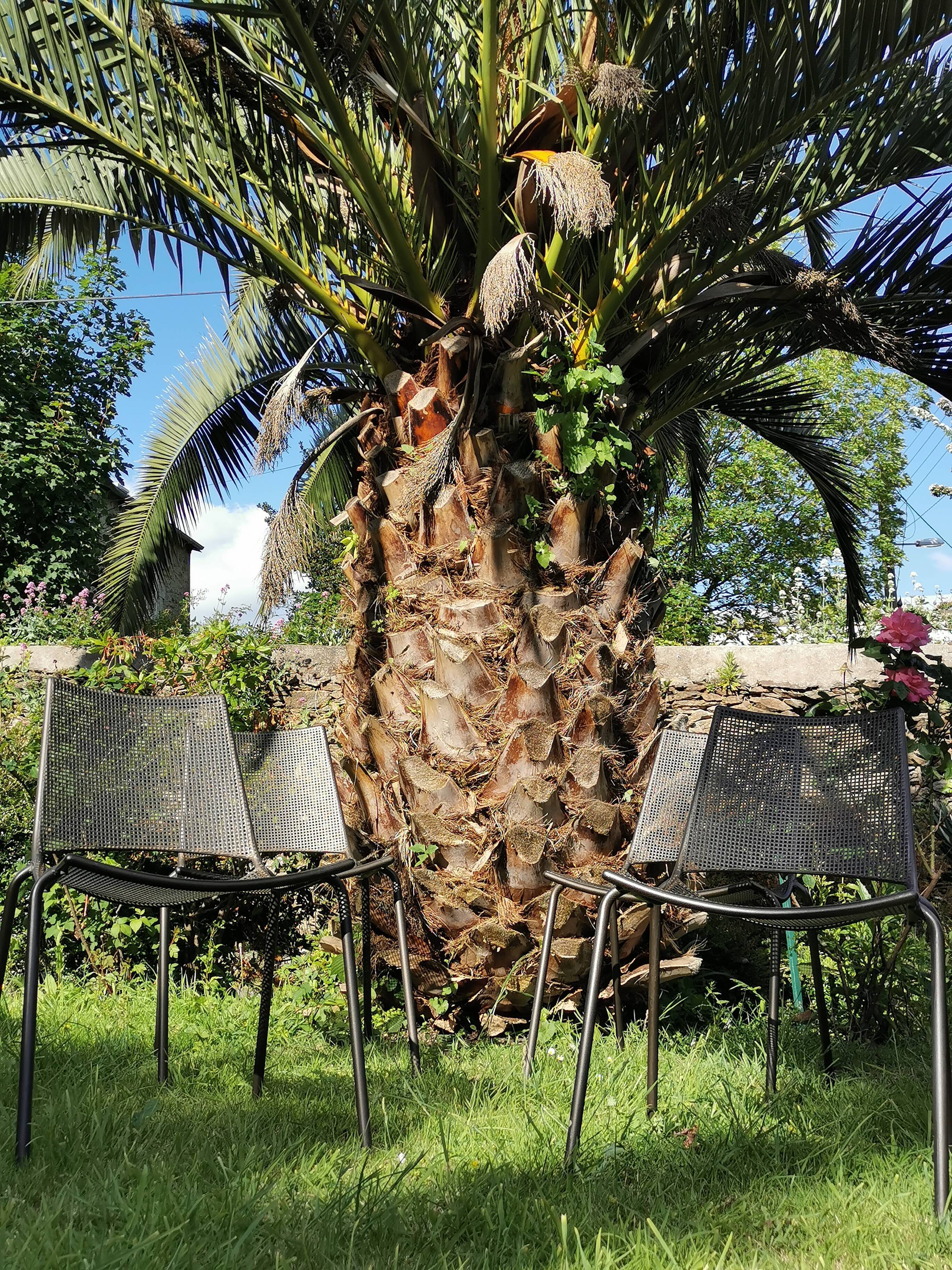 4 Emu garden chairs stackable design