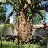 4 Emu garden chairs stackable design