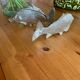 Fish napkin holder