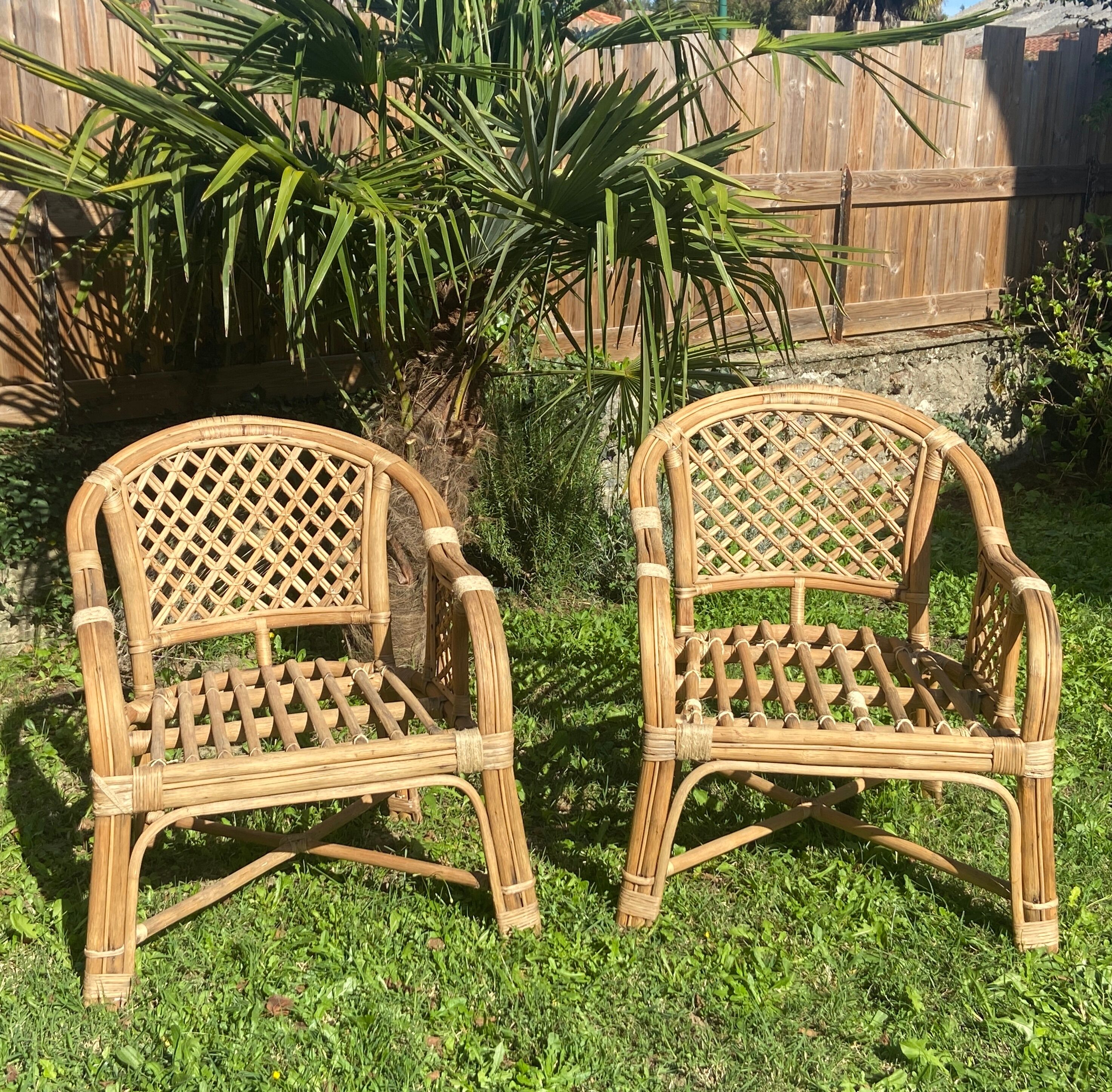 Pair of rattan armchairs