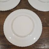3 Lemon Barbotine plates