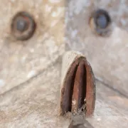 Ibo-Izzi, Nigeria old ‘Ogbodo Enyi’ elephant mask