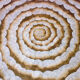 Round dining table in white lacquered wood, Italy, 1970s, decorated eggshell top