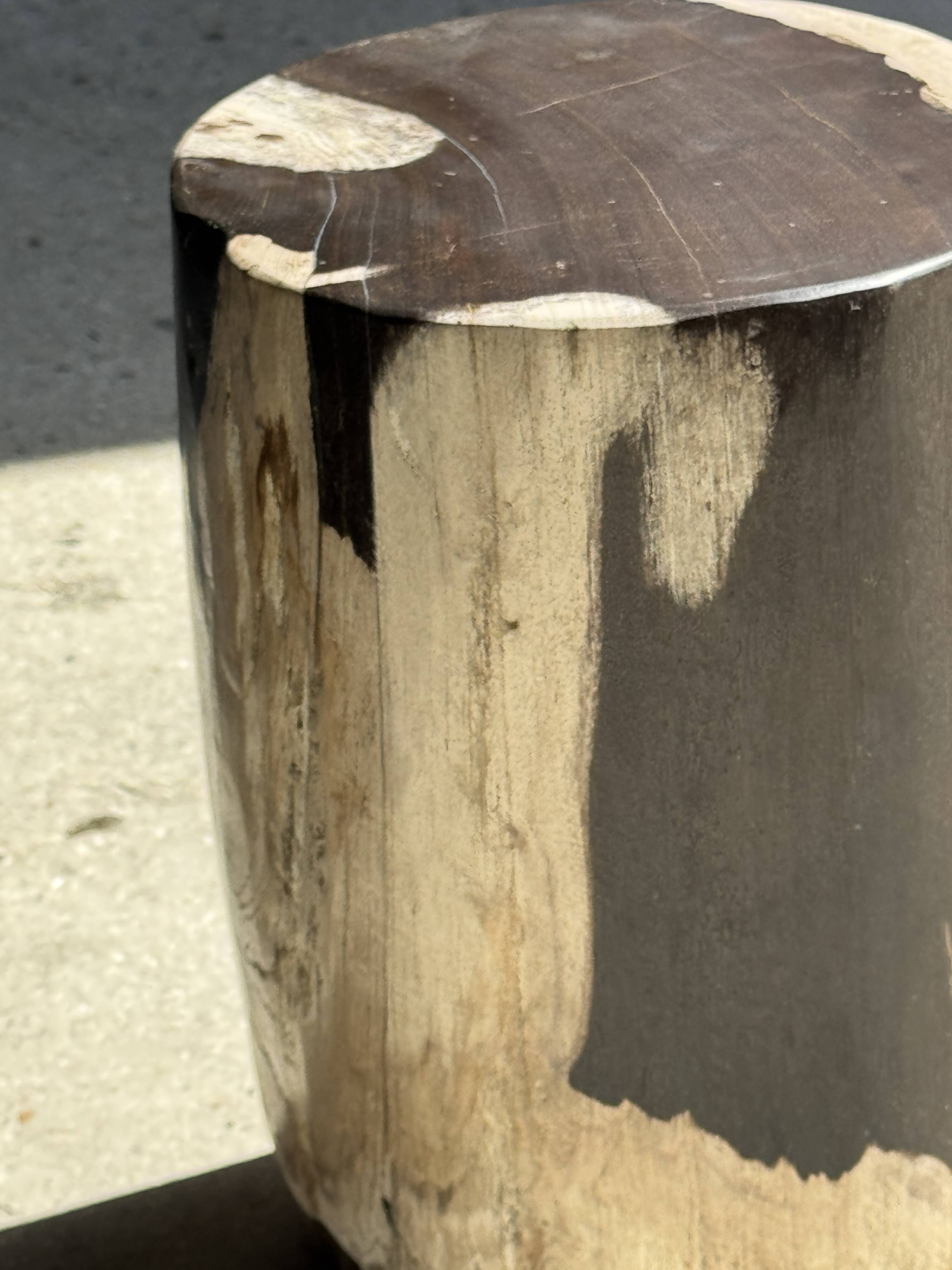 Small side table in black and white petrified wood H28 D18