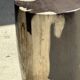 Small side table in black and white petrified wood H28 D18