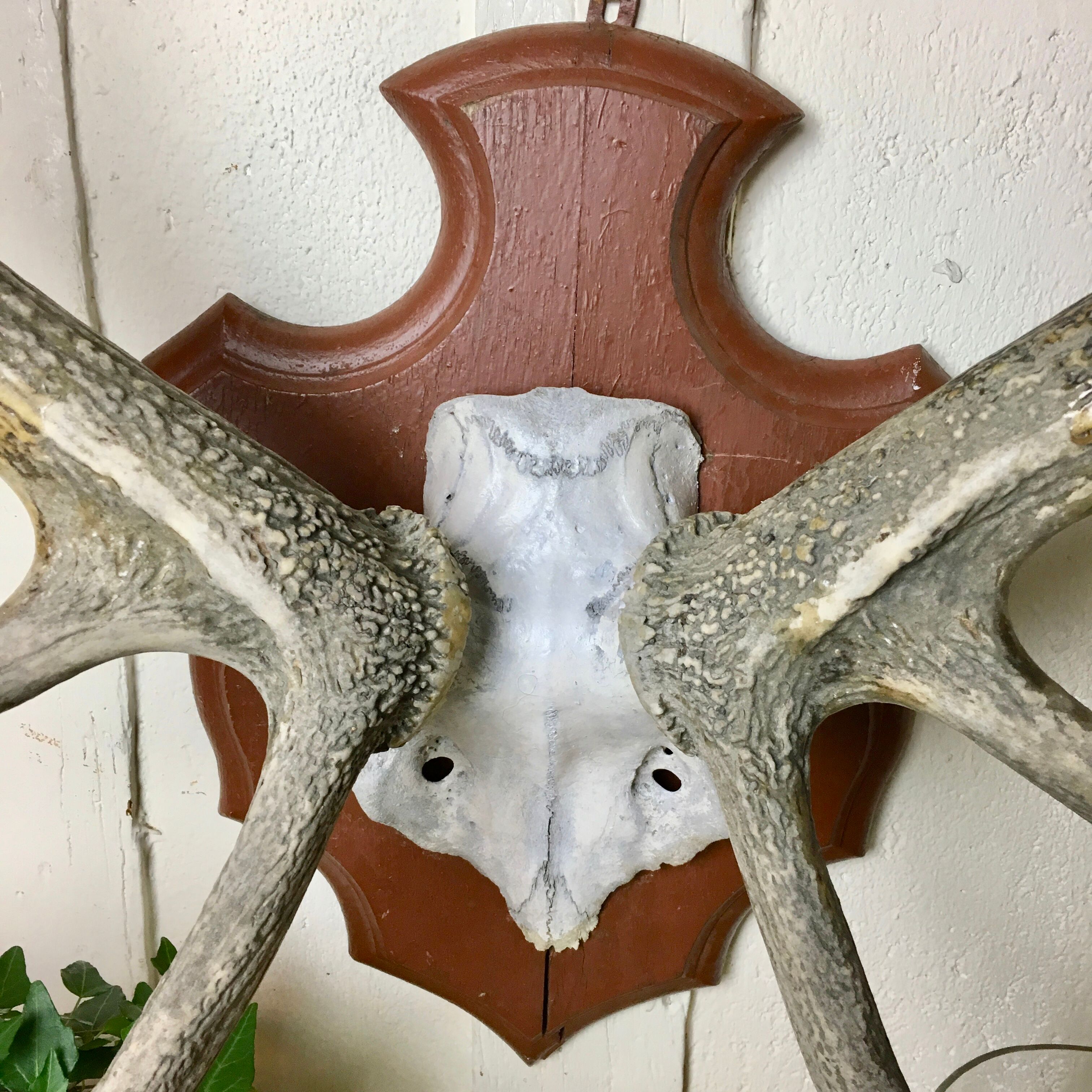 Massacre deer on wooden base