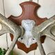 Massacre deer on wooden base