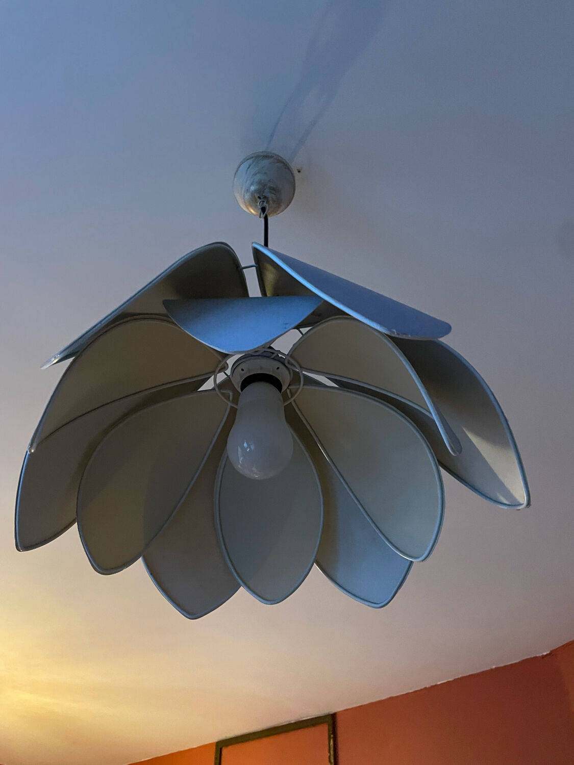 Lotus suspension