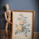 Rose lithograph frame Rosa Sulfura