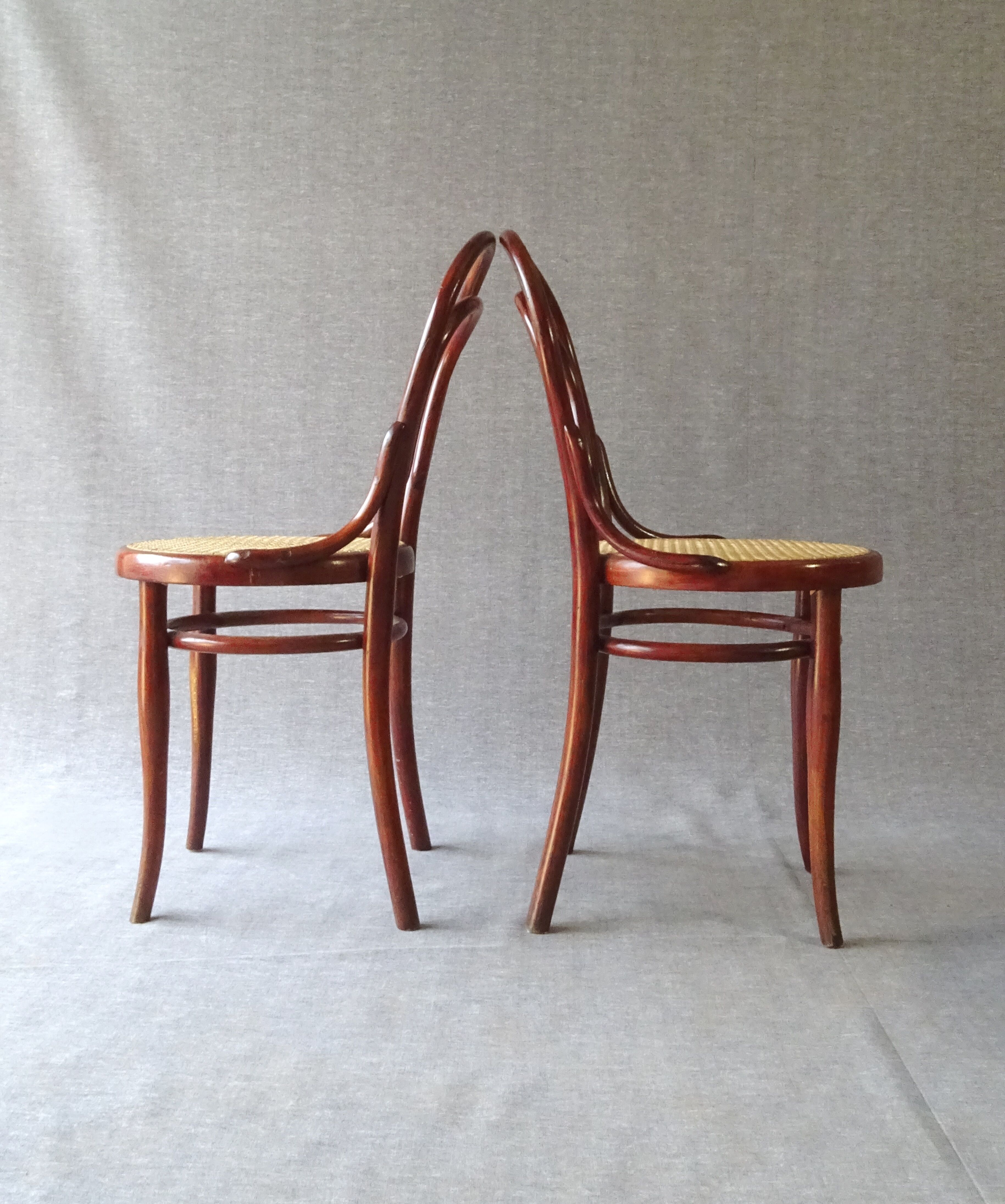 Lot de 5 chaise Thonet bistrot N°14 1/2 cannées