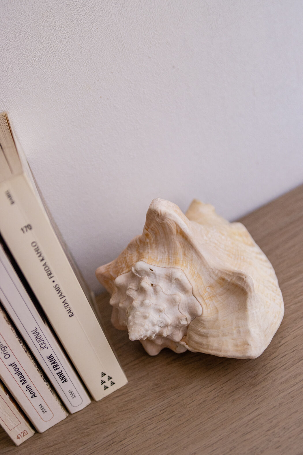 Shell