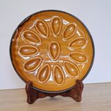 6 assiettes à coquillages