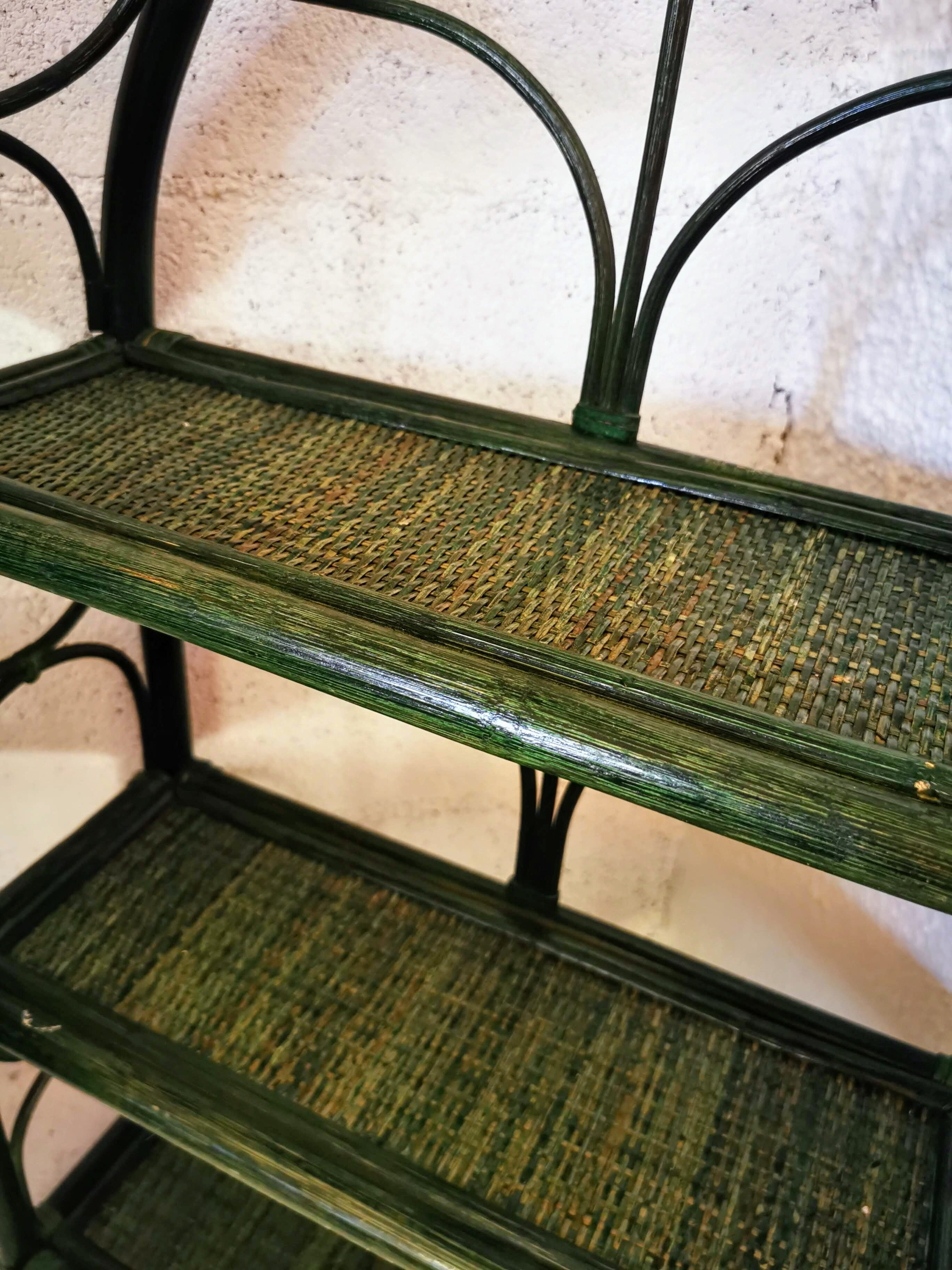 Green rattan shelf