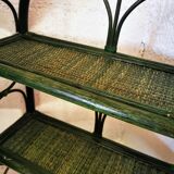 Green rattan shelf