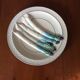 6 asparagus plates