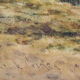 'Rural Landscape' Watercolour by James Edward Grace