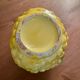 Pitcher bunch yellow and green grape slurry