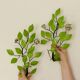 Pair of vintage green metal wall sconces – leaf-shaped