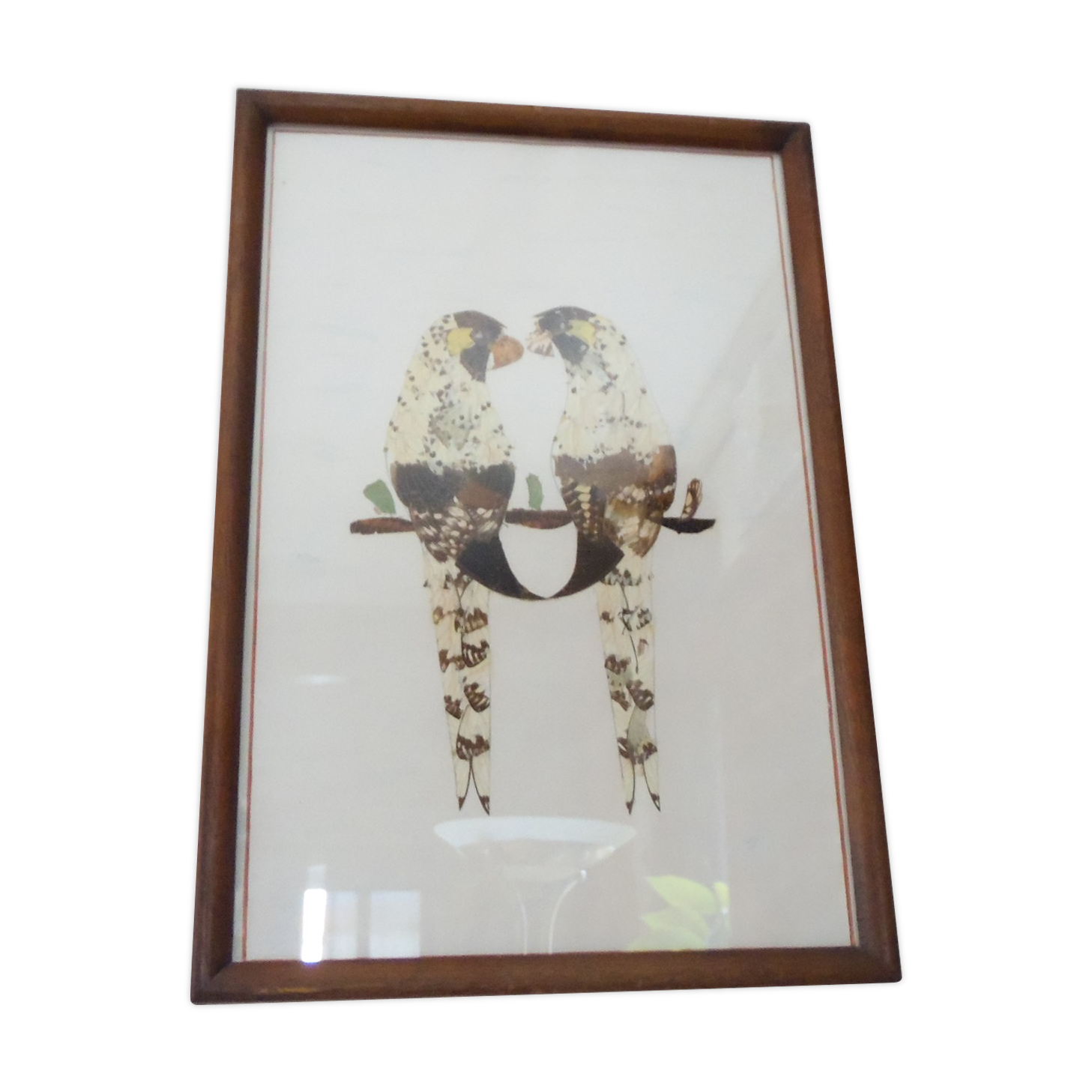 Bird-couple frame in butterfly wings