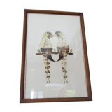 Bird-couple frame in butterfly wings