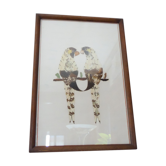 Bird-couple frame in butterfly wings