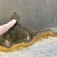 19th century fireplace fire guard by Bouhon Frères in bronze, French spark guard 1880