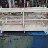 Old two-compartment breeding birdcage
