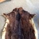 Goat skin